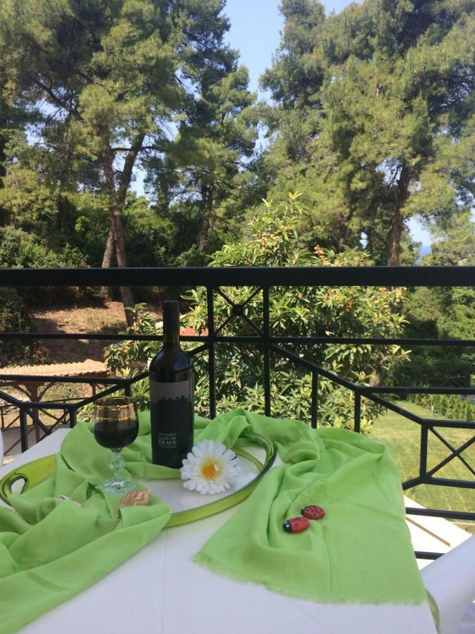 Villa Elani 카산드리아 외부 사진