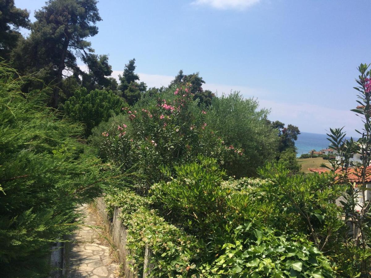 Villa Elani 카산드리아 외부 사진